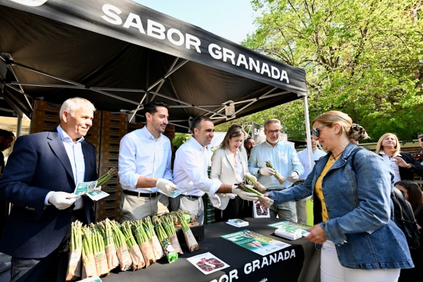 Reparto de espárrago verde (DIPGRA)