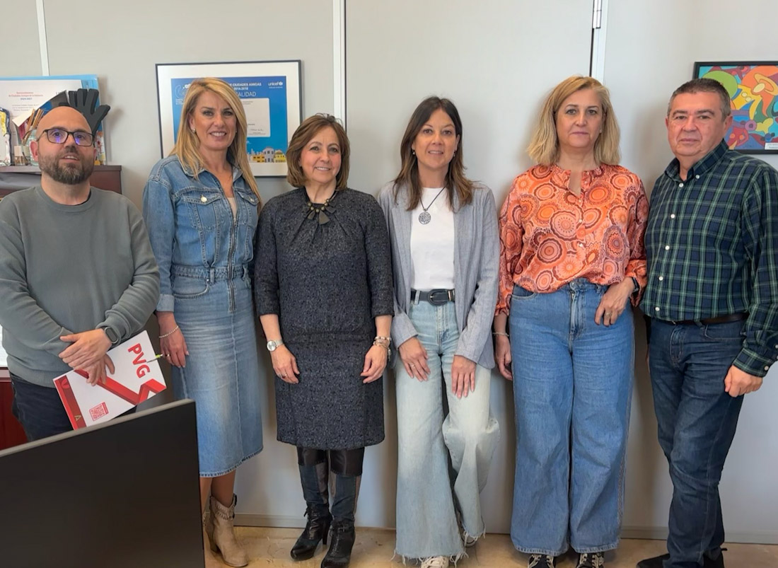 (PLATAFORMA DEL VOLUNTARIADO)