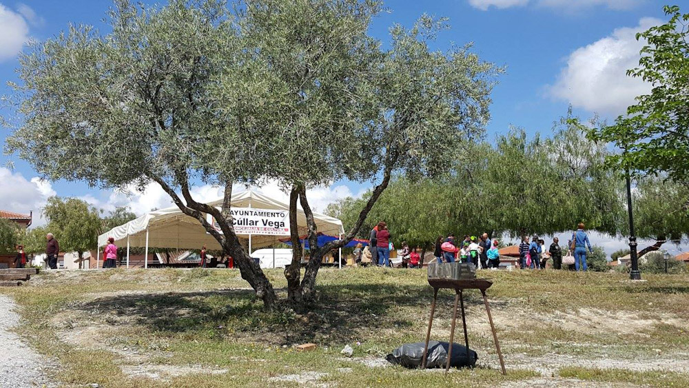Romería de San Isidro en Cúllar Vega (AYTO. CÚLLAR VEGA)