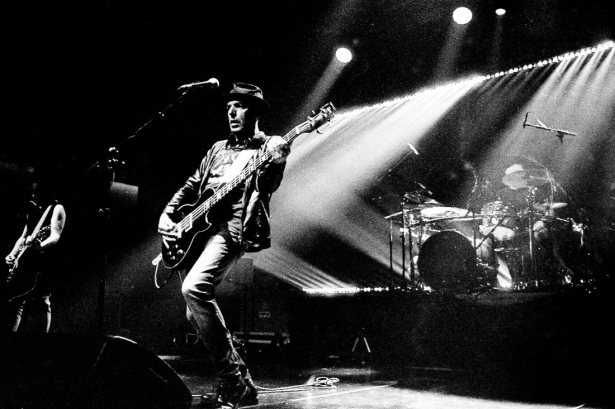 Lagartija Nick (ANTONIO OLMEDO) Lagartija Nick (ANTONIO OLMEDO)