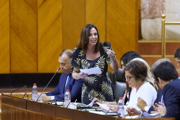 La consejera de Fomento, Rocío Díaz, en el Parlamento andaluz (JUNTA)