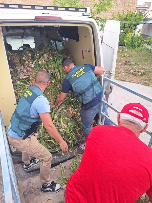 Recuperación de ajos robados (GUARDIA CIVIL) Recuperación de ajos robados (GUARDIA CIVIL)