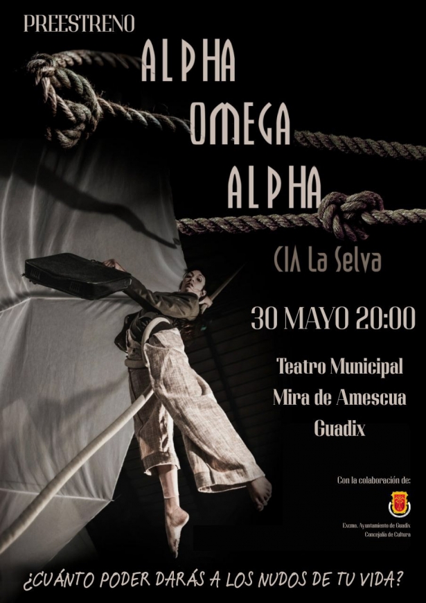 (AYUNTAMIENTO GUADIX)