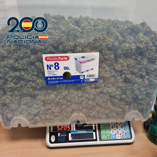 Marihuana incautada (POLICÍA NACIONAL)