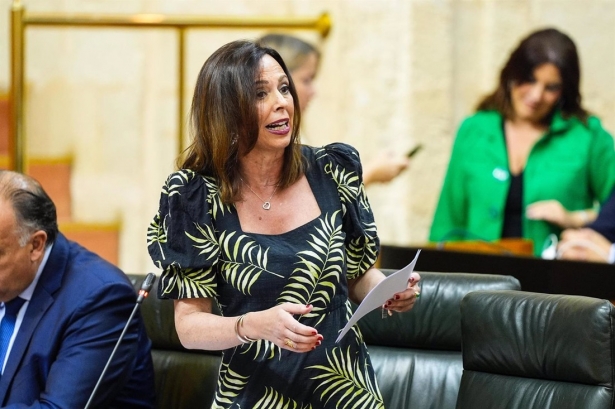 La consejera de Fomento, Articulación del Territorio y Vivienda, Rocía Díaz, en Pleno del Parlamento. (JOAQUÍN CORCHERO/PARLAMENTO DE ANDALUCÍA)