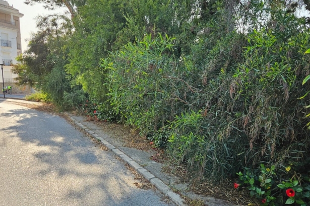 (AYUNTAMIENTO ALMUÑÉCAR)