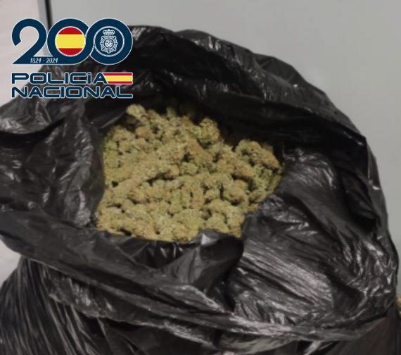 Marihuana incautada (POLICÍA NACIONAL)