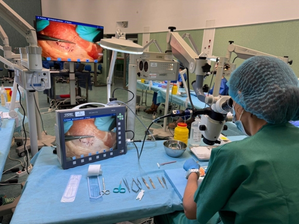 Práctica en el Centro de Simulación Clínica Avanzada de Iavante (JUNTA)