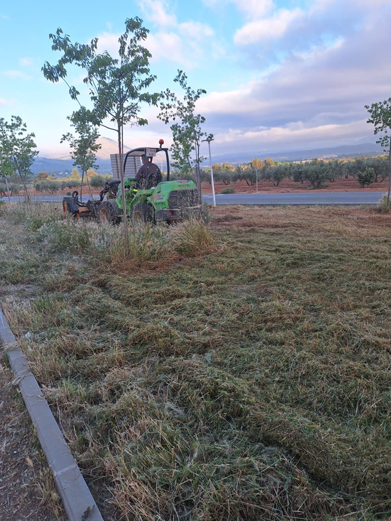 Limpieza de solares (AYTo. ALBOLOTE)