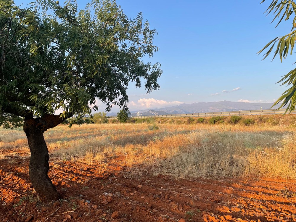 ECOLOGISTAS EN ACCION
