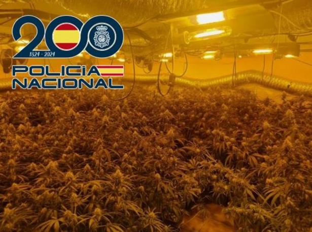 Plantación de marihuana `indoor` desmantelada (POLICÍA NACIONAL)