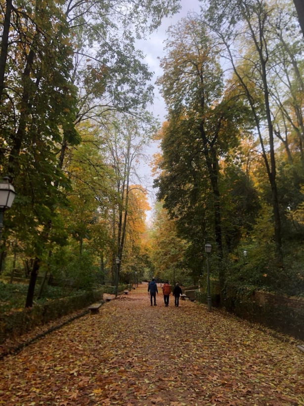 Bosque de Gomérez, en la Alhambra, en imagen de archivo (DAVID TINAUT)