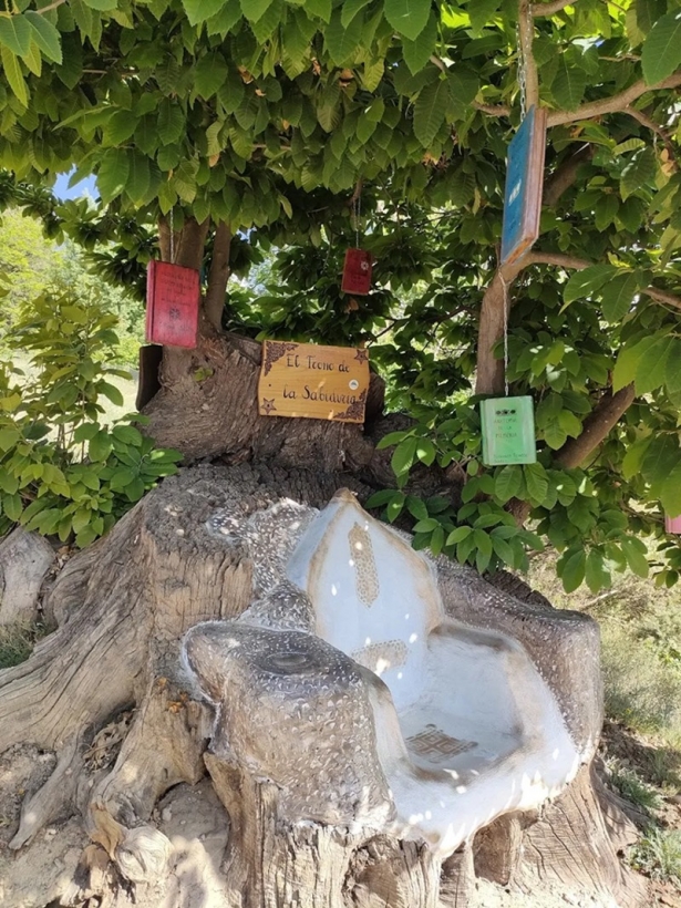 (ASOCIACIÓN CULTURAL LANJARÓN) (ASOCIACIÓN CULTURAL LANJARÓN)