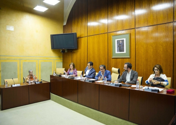 El consejero de Justicia José Antonio Nieto en comisión parlamentaria (JOAQUÍN CORCHERO / PARLAMENTO DE ANDALUCÍA)