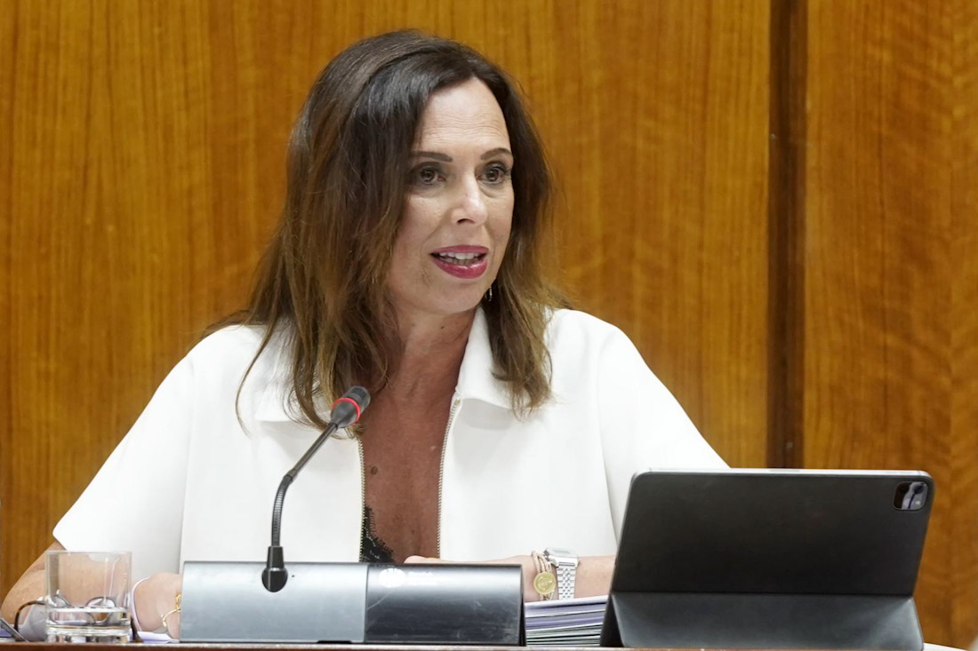 La Consejera de Fomento, Rocío Díaz (JUNTA)