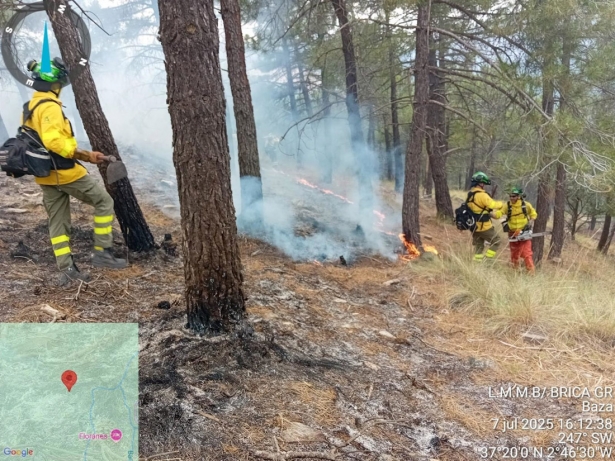 Fuego forestal en Baza (PERFIL DEL INFOCA EN LA RED SOCIAL X)