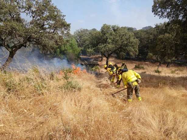 Bomberos trabajando en las tareas de extinción de un incendio en imagen de archivo (INFOCA)