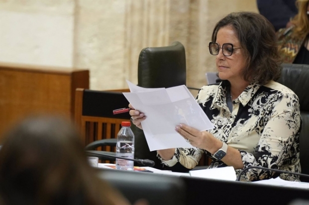 Catalina García, durante su intervención en la sesión plenaria (MARÍA JOSÉ LÓPEZ / EUROPA PRESS)