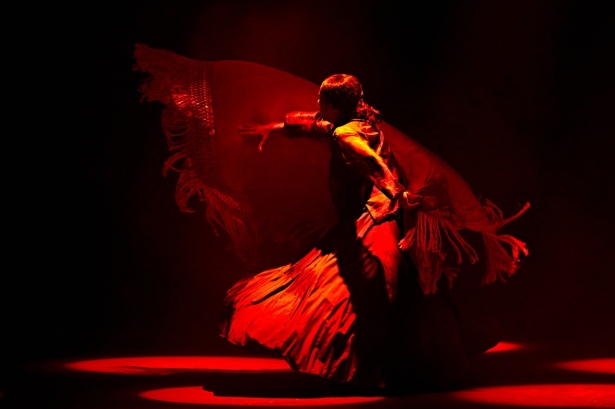 Eva Yerbabuena (MARCOGPUNTO)