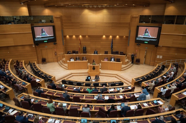 Pleno del Senado (DIEGO RADAMÉS - EUROPA PRESS)