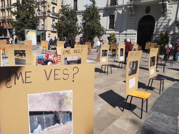 Concentración de la plataforma `La calle mata` en imagen de archivo (PLATAFORMA LA CALLE MATA)