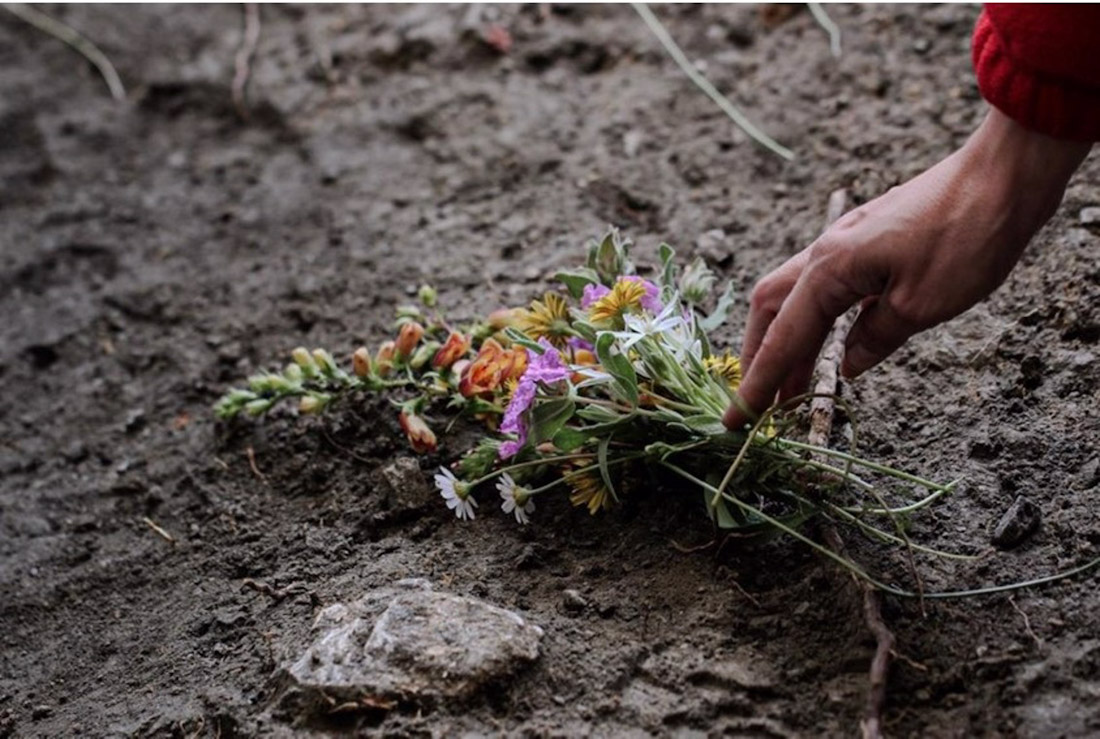  (FRANCISCO DE ASÍS CARRIÓN JIMÉNEZ)