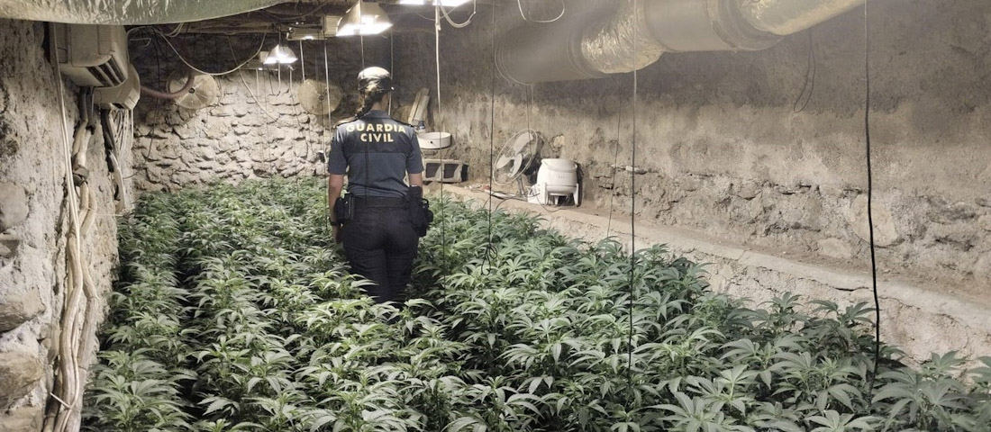 Nave de aperos con plantación de marihuana desmantelada (GUARDIA CIVIL)