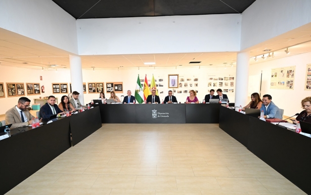 Pleno de la DIputación de Granada (DIPGRA)