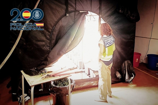 Plantación intervenida por la Policía Nacional de Granada (POLICÍA NACIONAL)