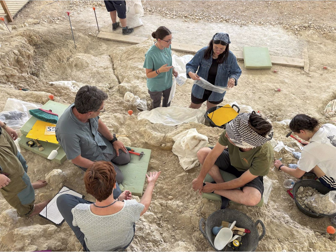 Excavación en los yacimientos de la zona arqueológica Cuenca de Orce (UNIVERSIDAD DE GRANADA)