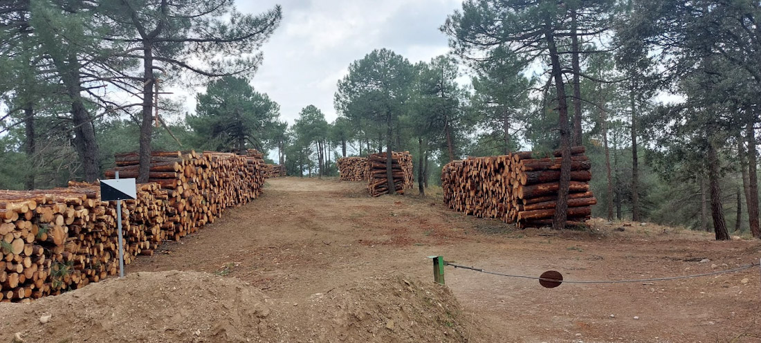 Parque Natural Sierra de Huétor (JUNTA)