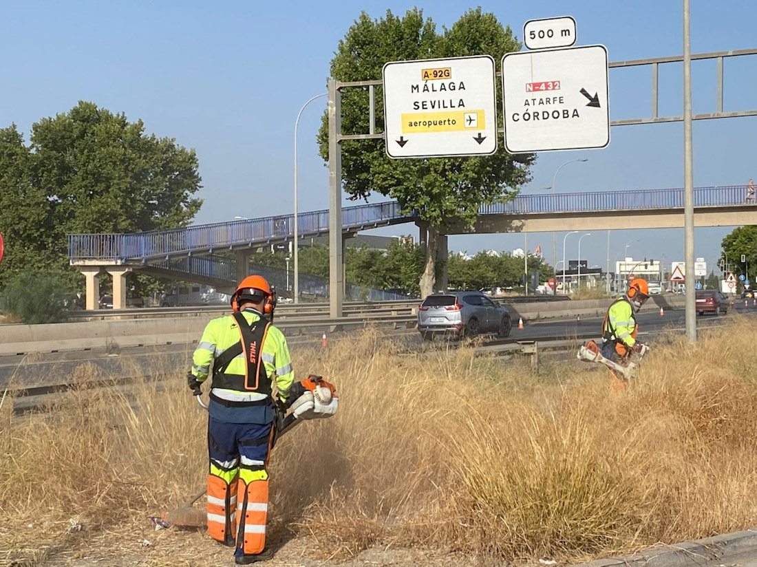 Tareas de desbroce (AYTO. GRANADA)
