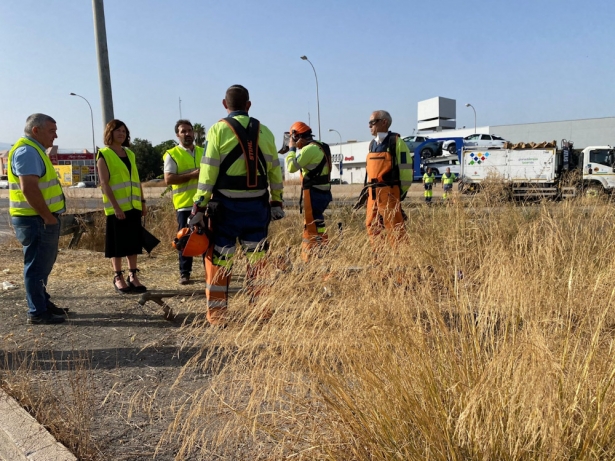 Tareas de desbroce (AYTO. GRANADA)