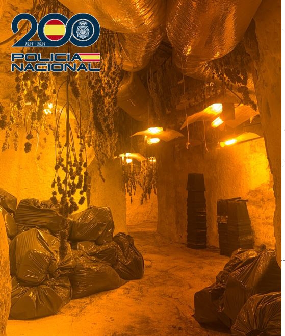 Plantación desarticulada (POLICÍA NACIONAL) Plantación desarticulada (POLICÍA NACIONAL)