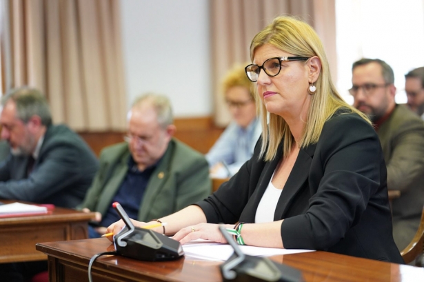 La senadora del PP, Inmaculada Hernández (PP) La senadora del PP, Inmaculada Hernández (PP)