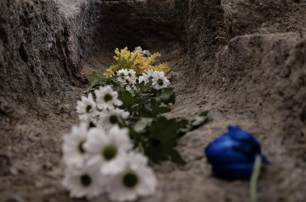 Flores en el Barranco de Víznar (UGR)