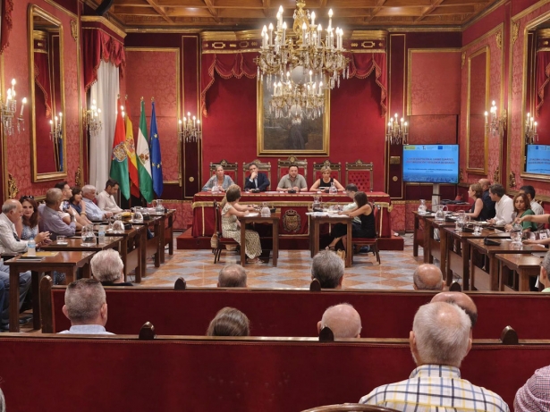 Pleno del Ayuntamiento de Granada. (AYUNTAMIENTO DE GRANADA)