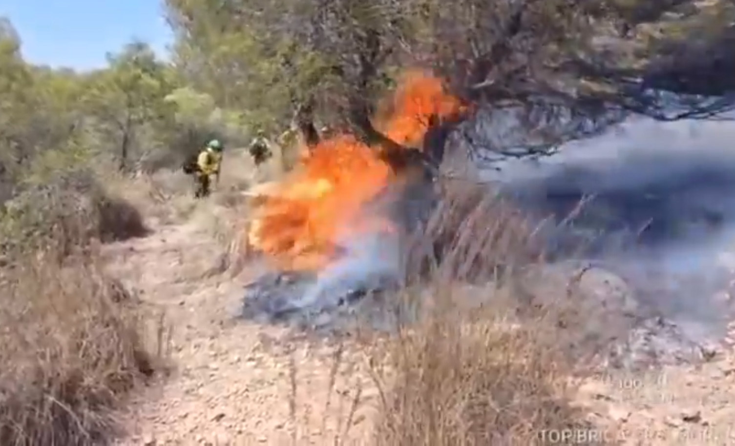 Incendio en Benamaurel (INFOCA)