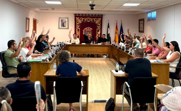 Pleno del Ayuntamiento de Las Gabias (AYTO. LAS GABIAS)