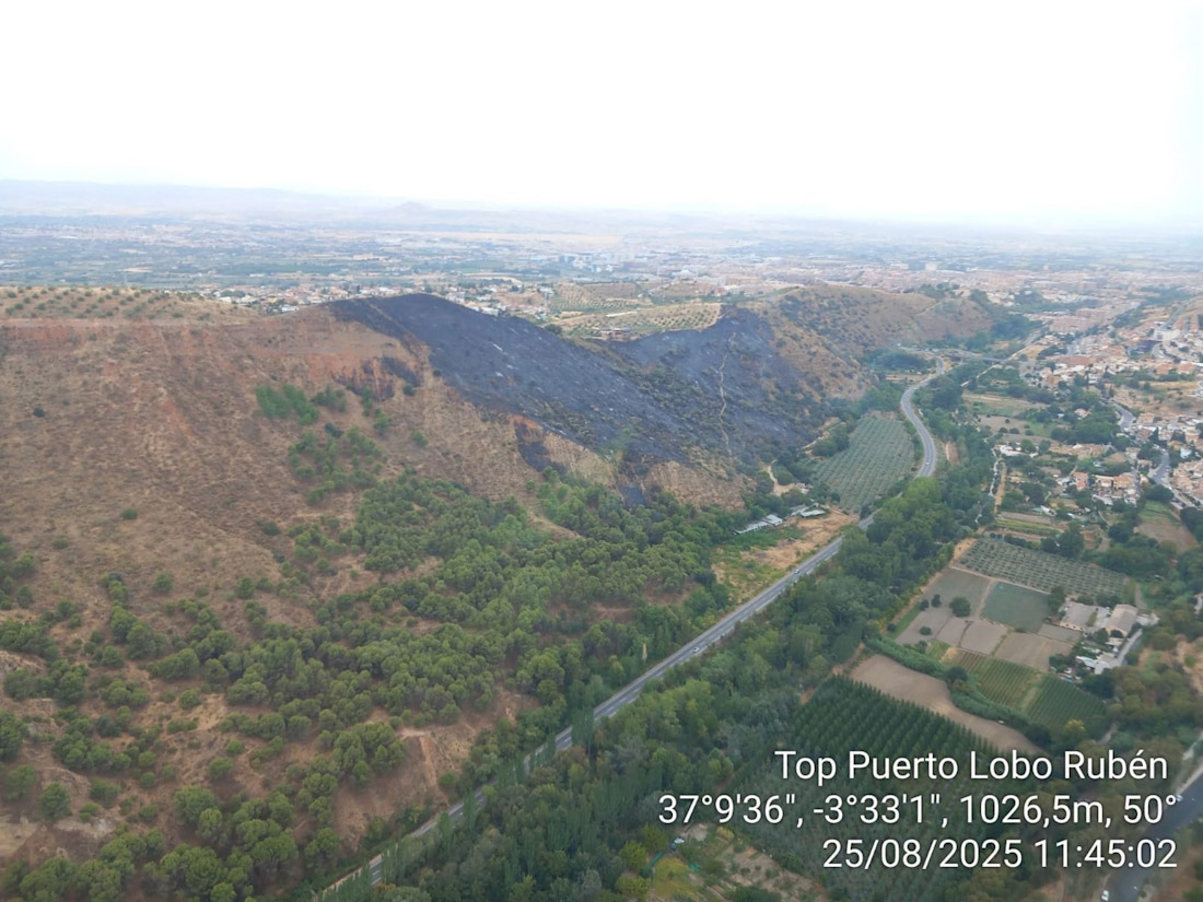 Vista del área afectada por el incendio que se declaró en la madrugada del lunes en Ventas de Zafarraya y que ha quedado extinguido a las 13.00 horas de este martes (PLAN INFOCA)