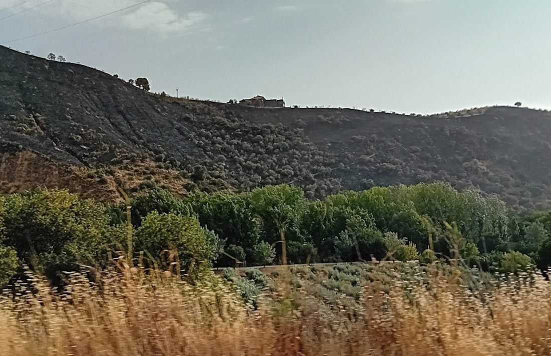 Zona afectada por el incendio del entorno de la Fuente de la Bicha tras su extinción (EUROPA PRESS)