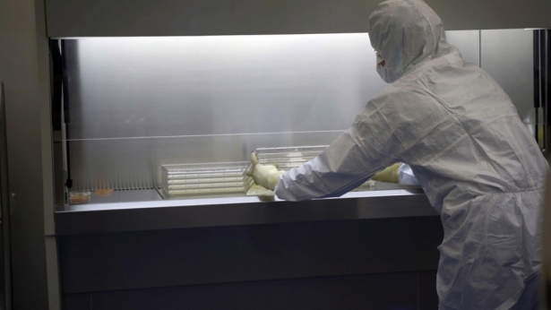 Un profesional en la sala blanca de la elaboración de piel artificial (HOSPITAL VIRGEN DE LAS NIEVES)
