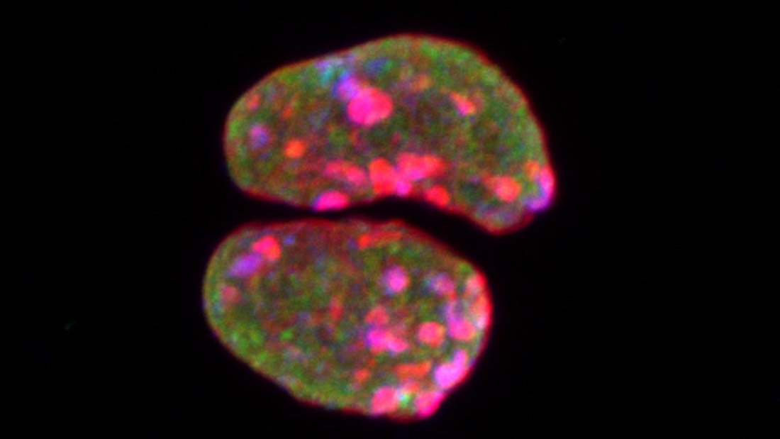 Imagen de moléculas investigadas (UGR)