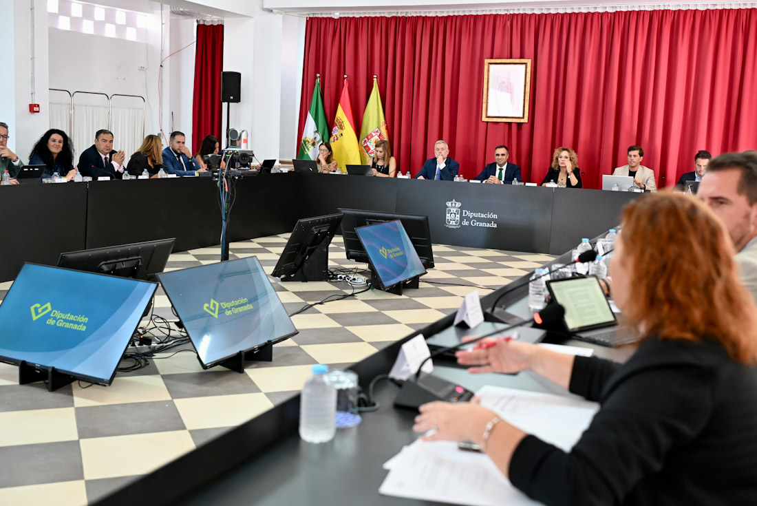 Pleno extraordinario de Diputación (DIPGRA)