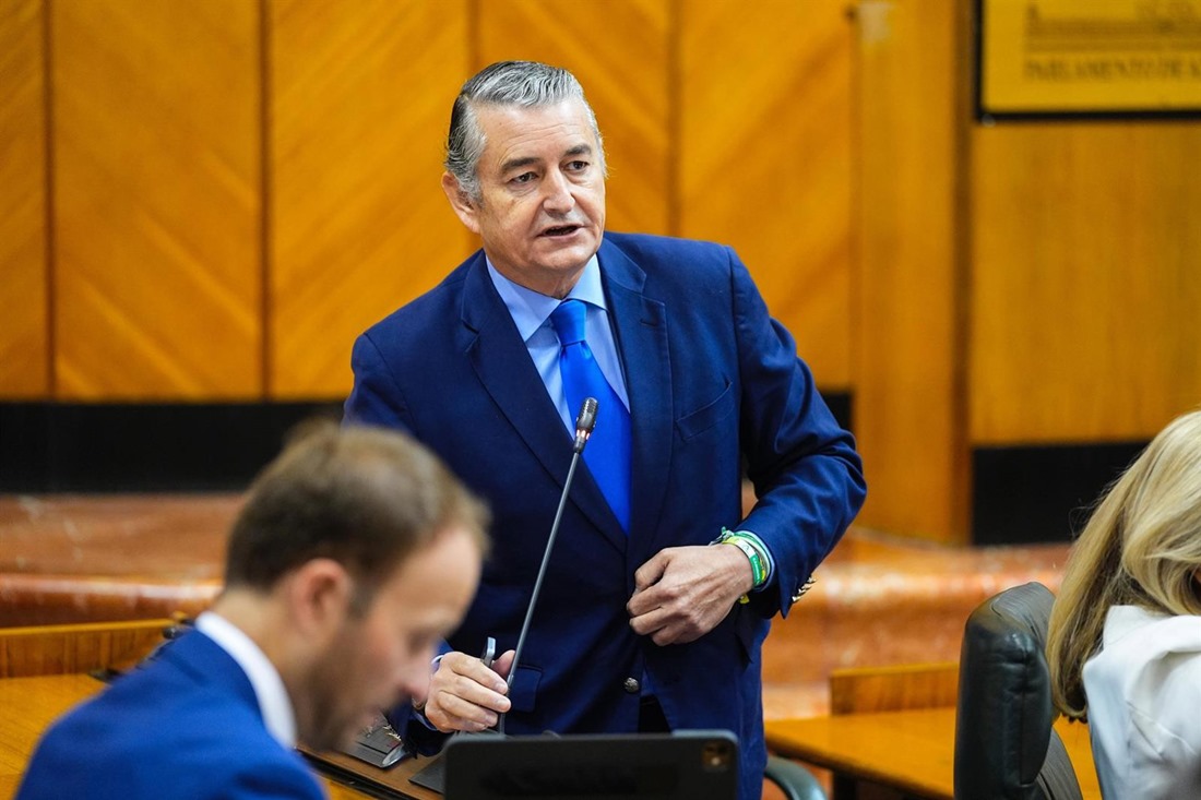 El consejero de la Presidencia, Interior, Diálogo Social y Simplificación Administrativa, Antonio Sanz, en el Pleno del Parlamento andaluz (JOAQUÍN CORCHERO/PARLAMENTO DE ANDALUCÍA)