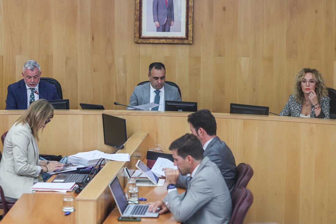 Pleno de la DIputación de Granada (GPMEDIA)