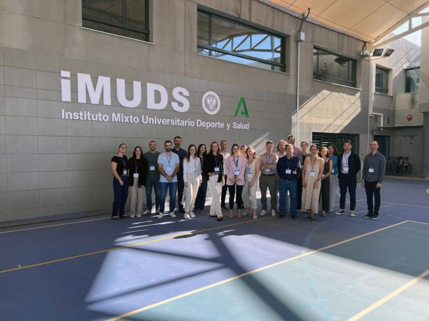 Reunión del proyecto TEIDe (UGR)