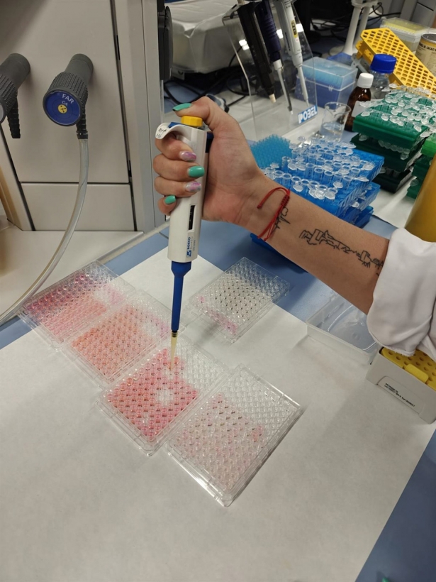 Procedimientos en una investigación (UGR)