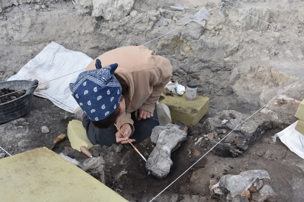 Imagen de archivo de la pasada campaña en Baza 1 1 (AYTO. BAZA) Imagen de archivo de la pasada campaña en Baza 1 1 (AYTO. BAZA)