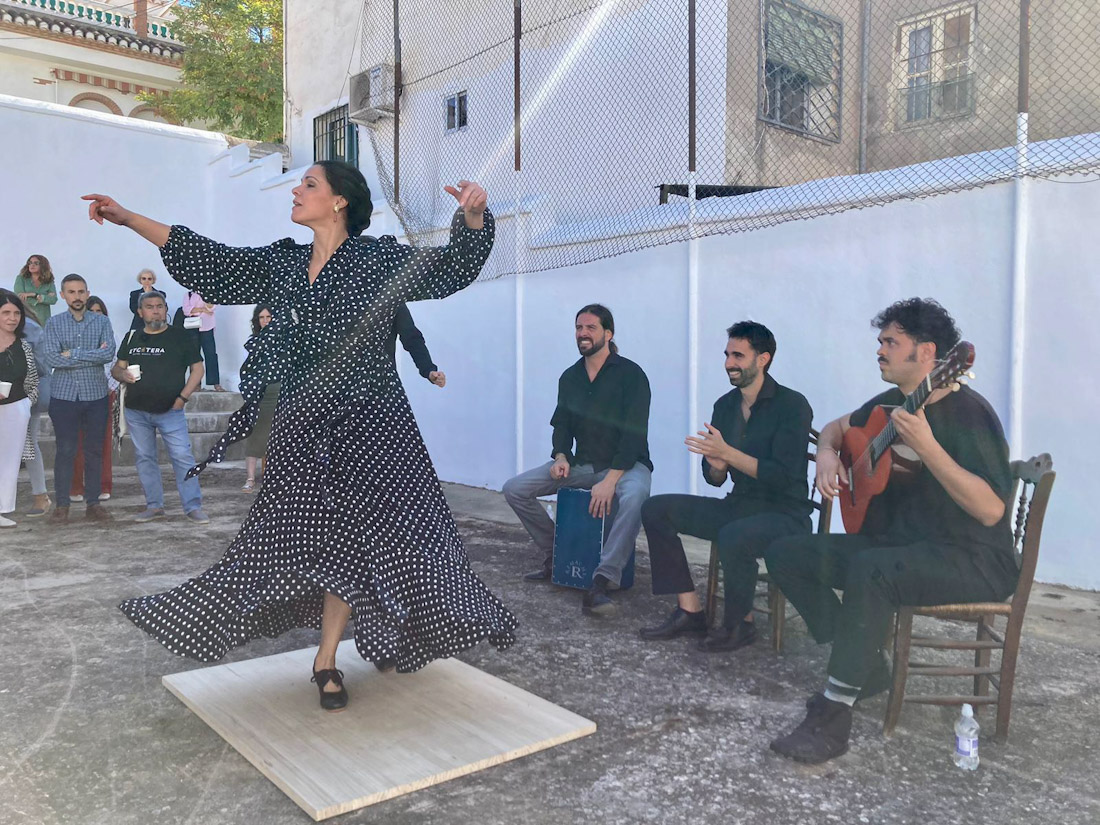 (FUNDACIÓN PURÍSIMA CONCEPCIÓN)